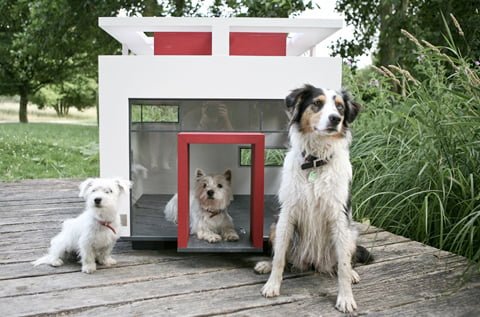 Подробнее о статье Особняк для собаки Cubix от Best Friend’s Home