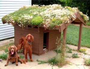 Крыша-клумба будка для собаки